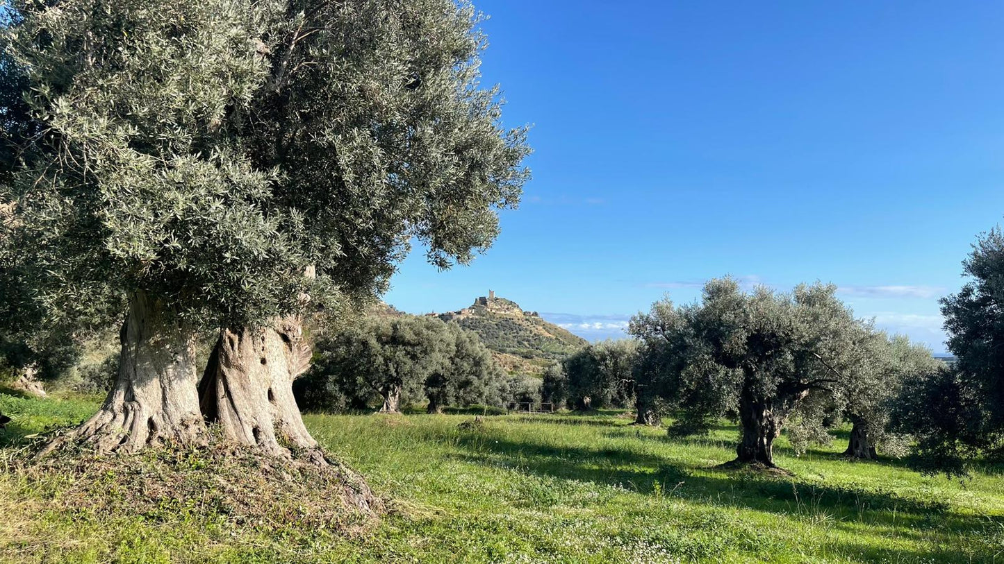 Timpa Bianca - fles keramiek 500 ml